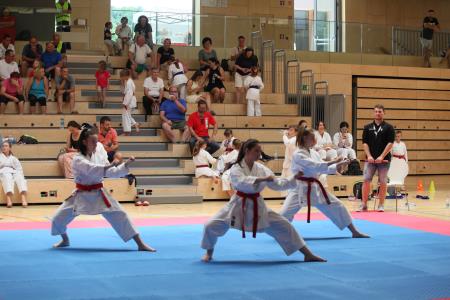 V Mirni Peči je potekal pravi karate spektakel
