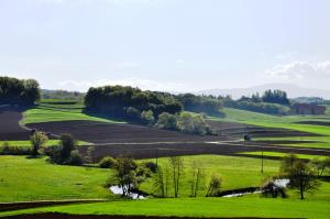 37308DSC_0041