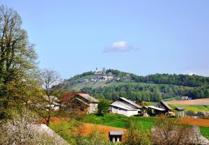 37327DSC_0063